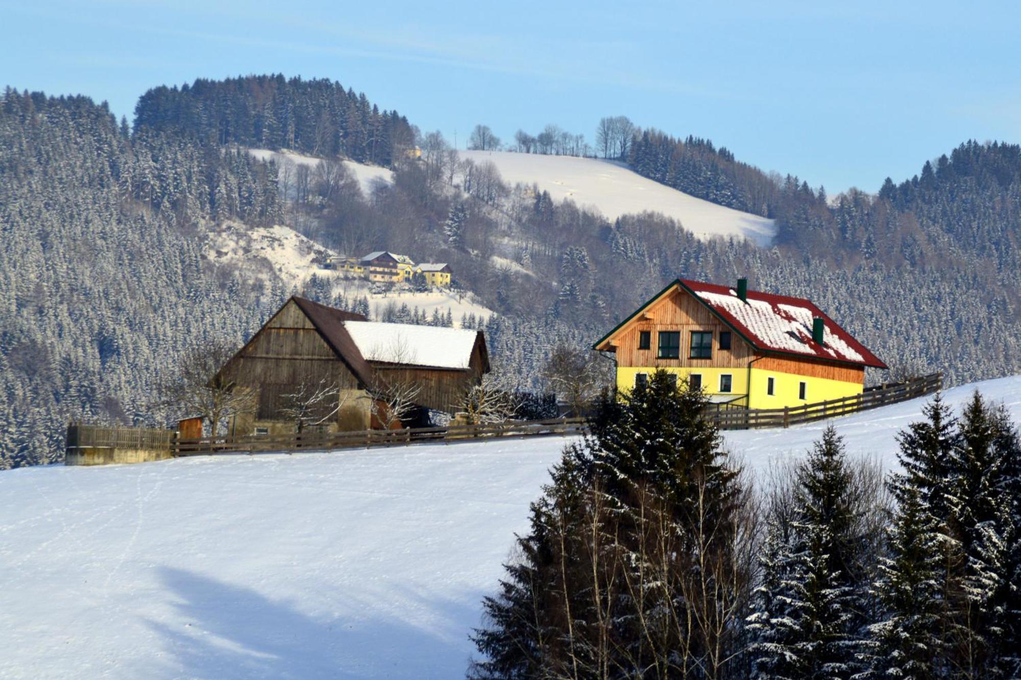 Almferienhaus Russmann Frantschach 외부 사진
