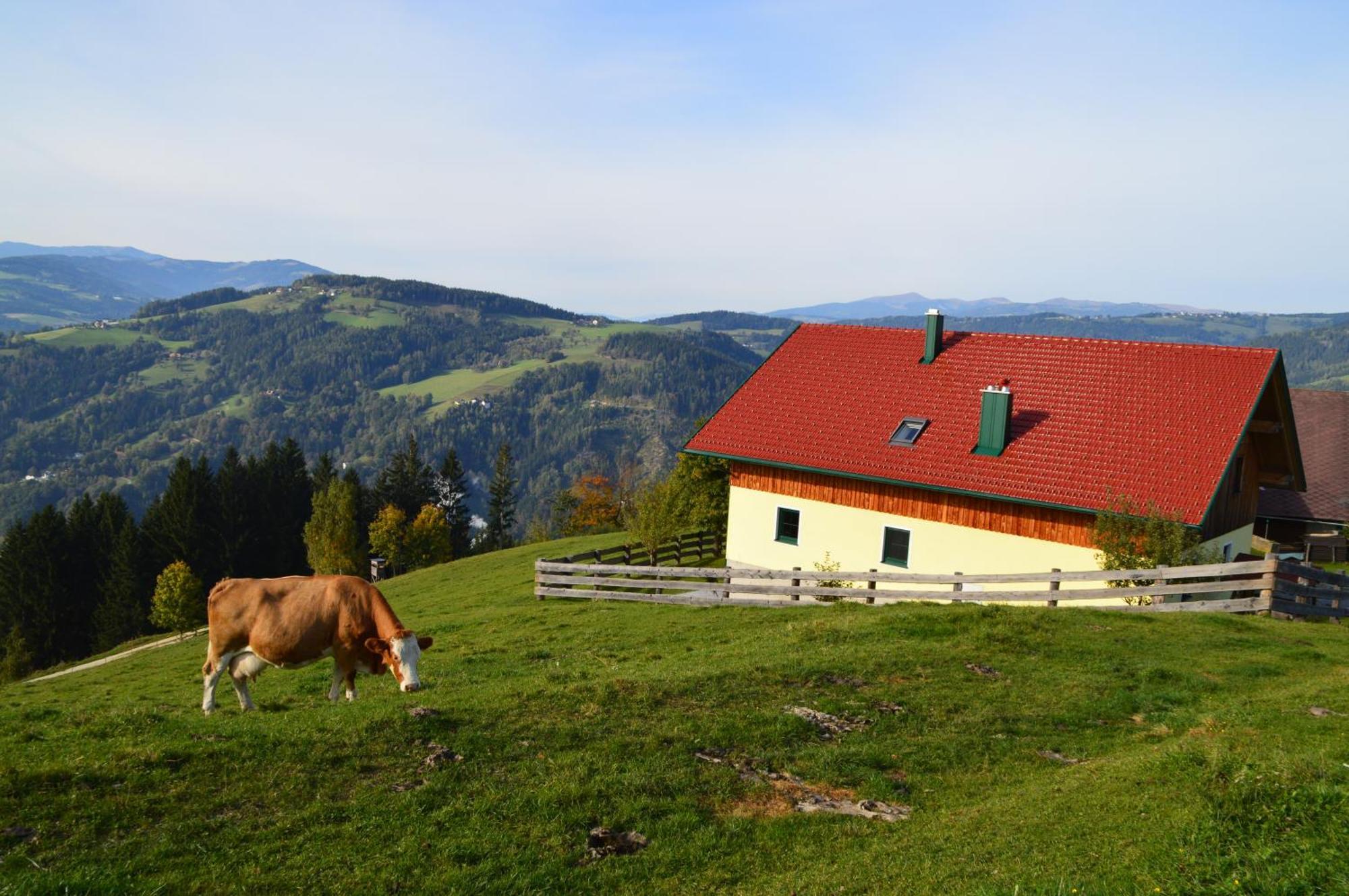 Almferienhaus Russmann Frantschach 외부 사진